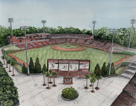 Gamecock Baseball Stadium Print