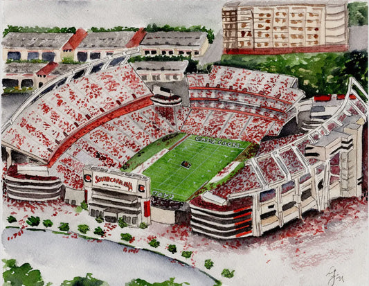 Gamecock Football Stadium Print